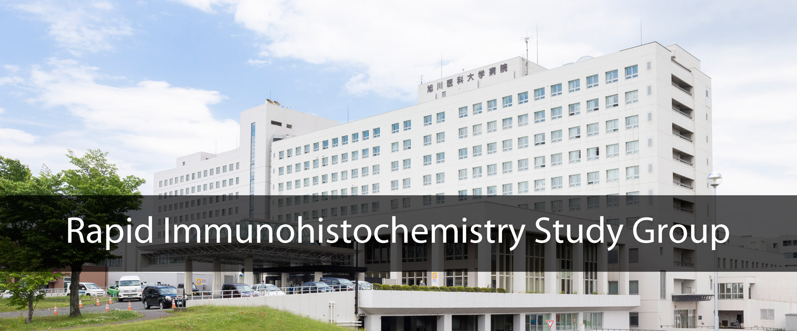 Rapid Immunohistochemistry Study Group